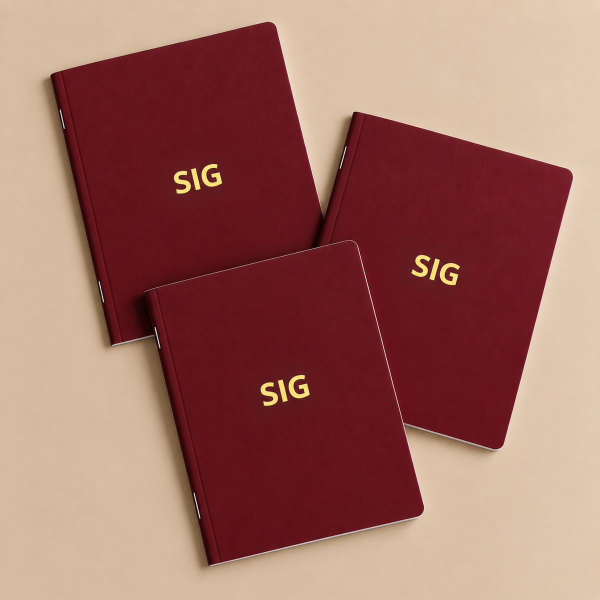 Pachet Complet SIG - 3 Caiete pentru Facultate | Back To Uni 2026