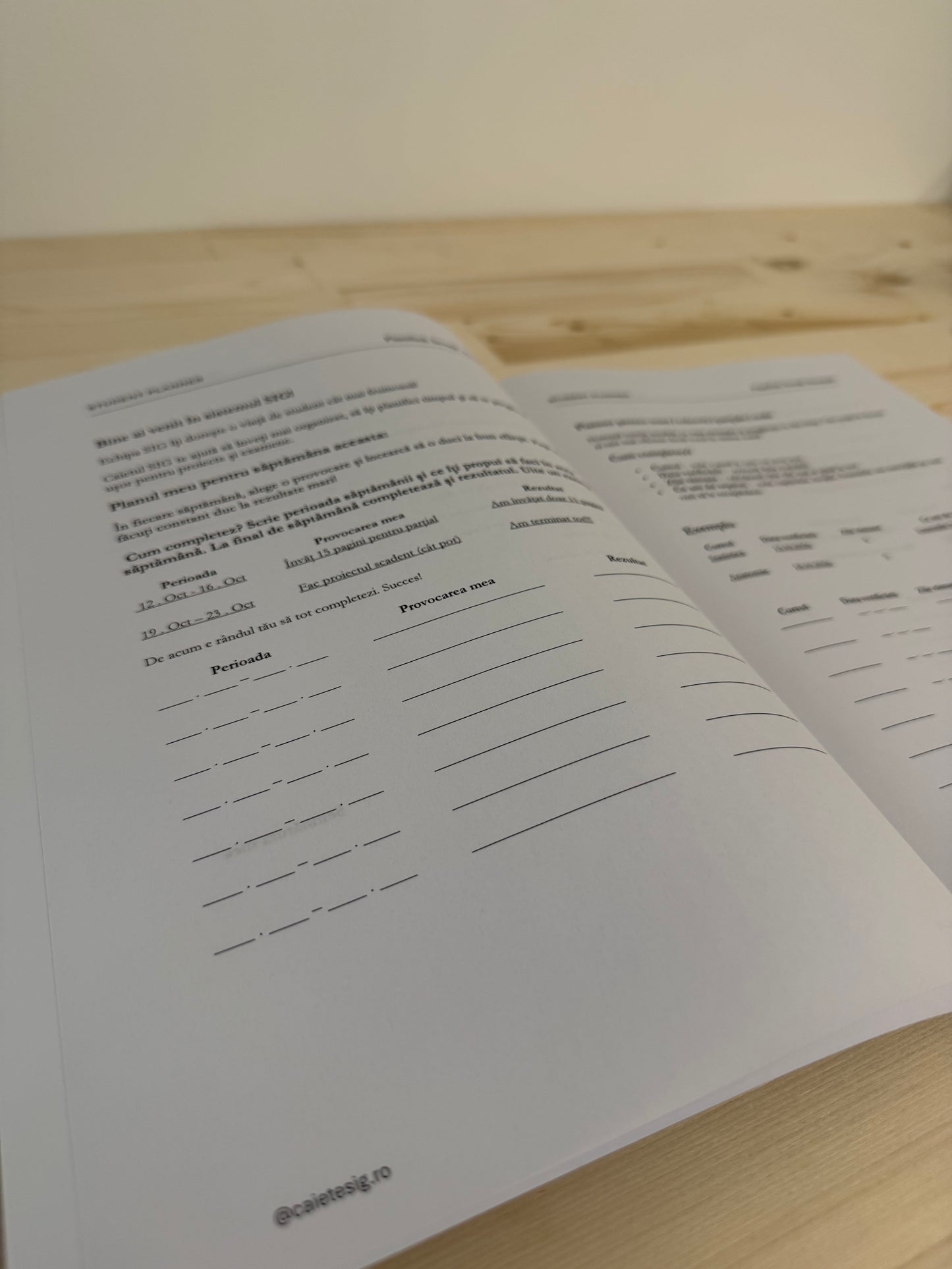 Pachet Complet SIG - 3 Caiete pentru Facultate | Back To Uni 2026